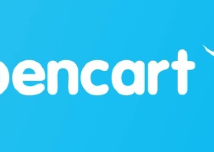 Создание интернет-магазина на OpenCart как старт бизнеса: с чего начать?