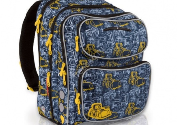 Школьные рюкзаки Topgal