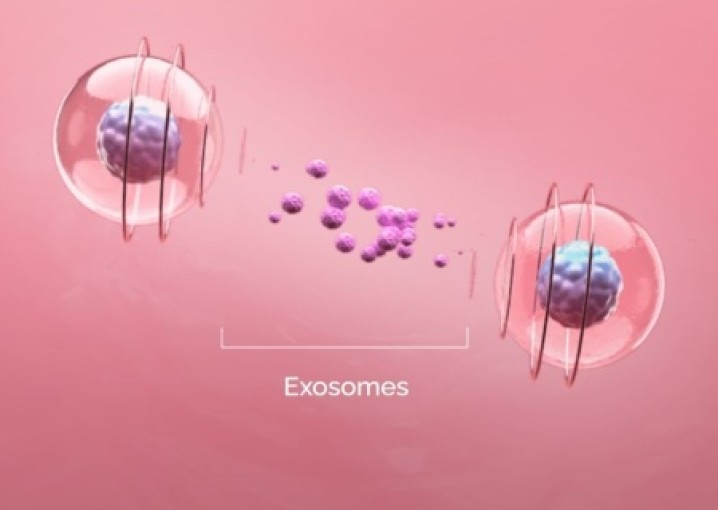 Екзосоми - клітинне відновлення шкіри та волосся